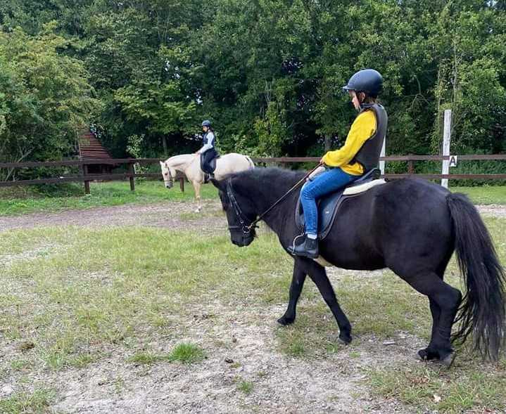 to piger, der rider på heste