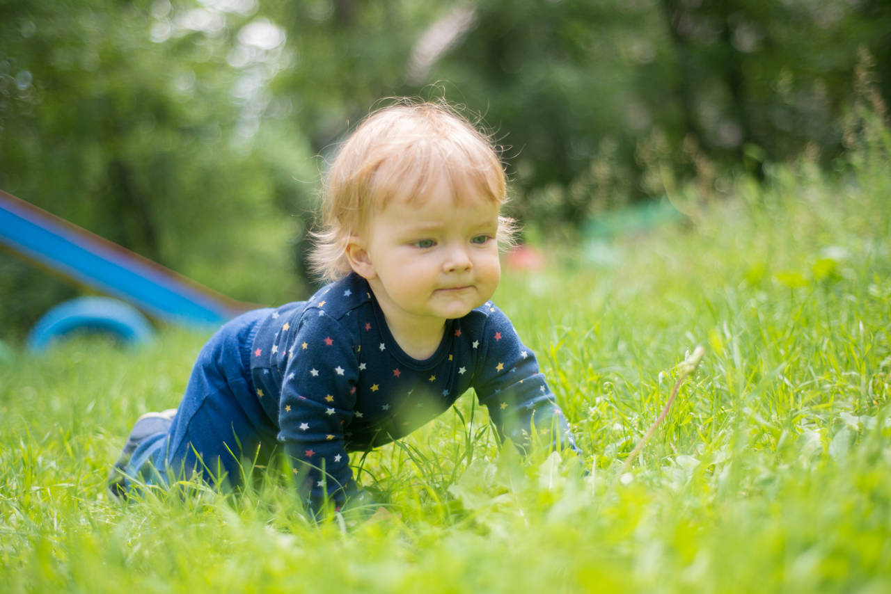 Baby kravler i græs