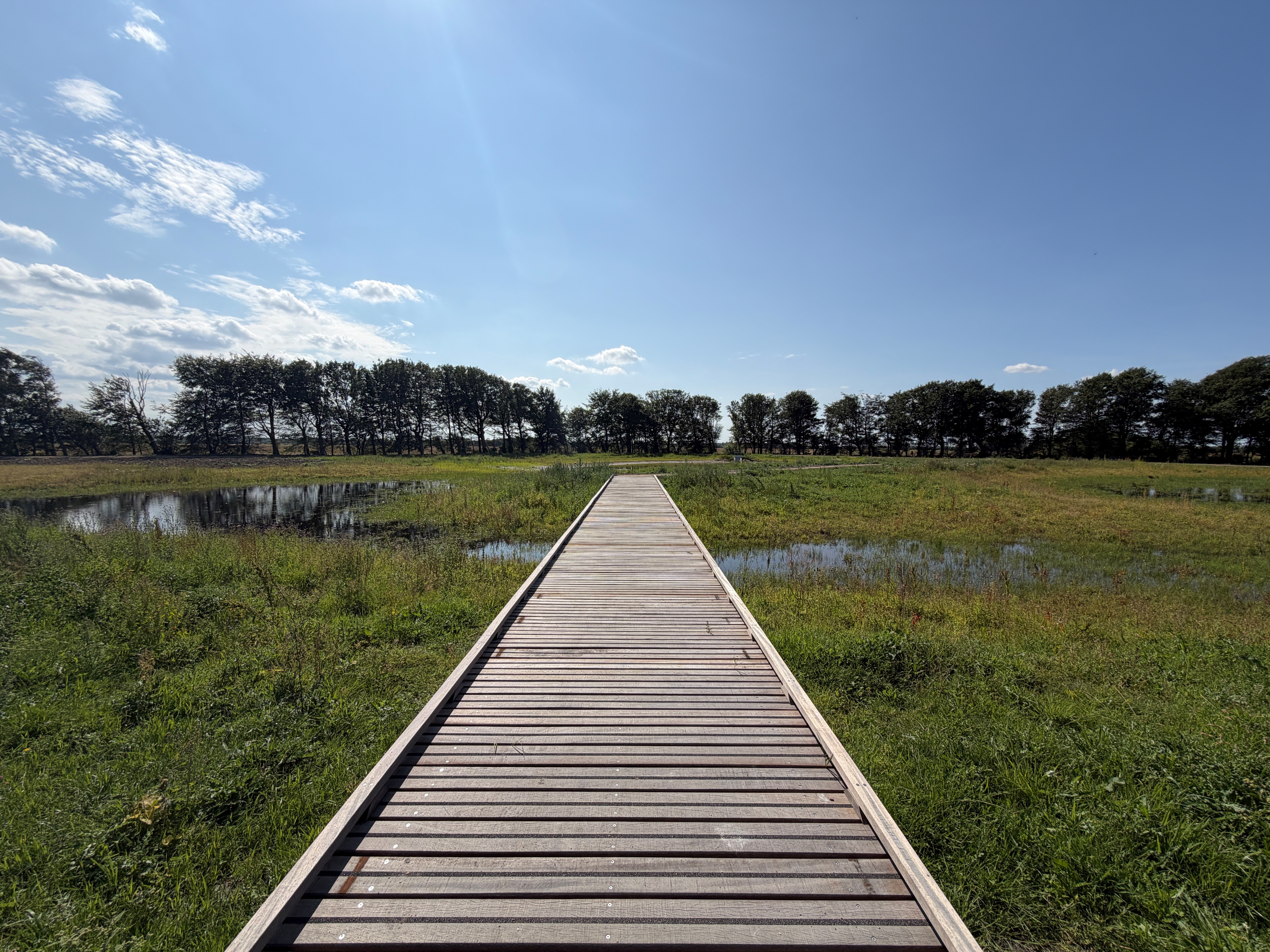 Område med vand i Vestbjerg Natur- og Klimapark