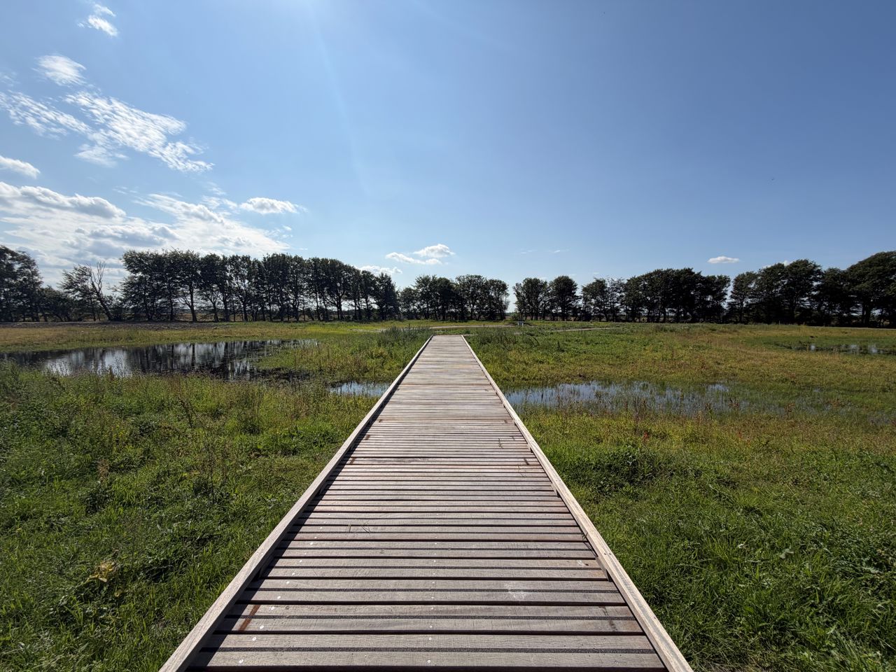 Område med vand i Vestbjerg Natur- og Klimapark