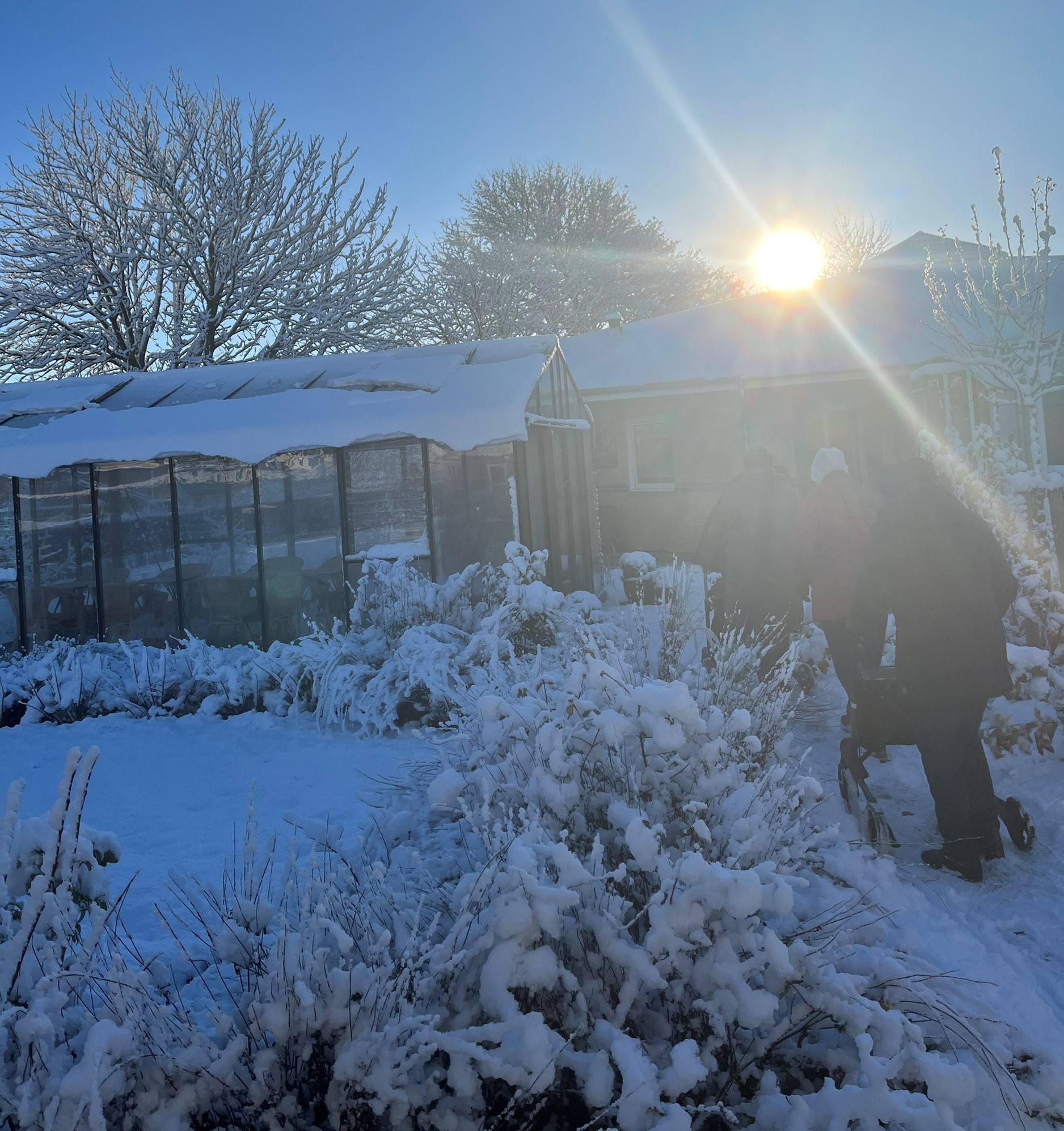 Sne i haven ved Forebyggelses- og Rehabiliteringscenter Ulsted