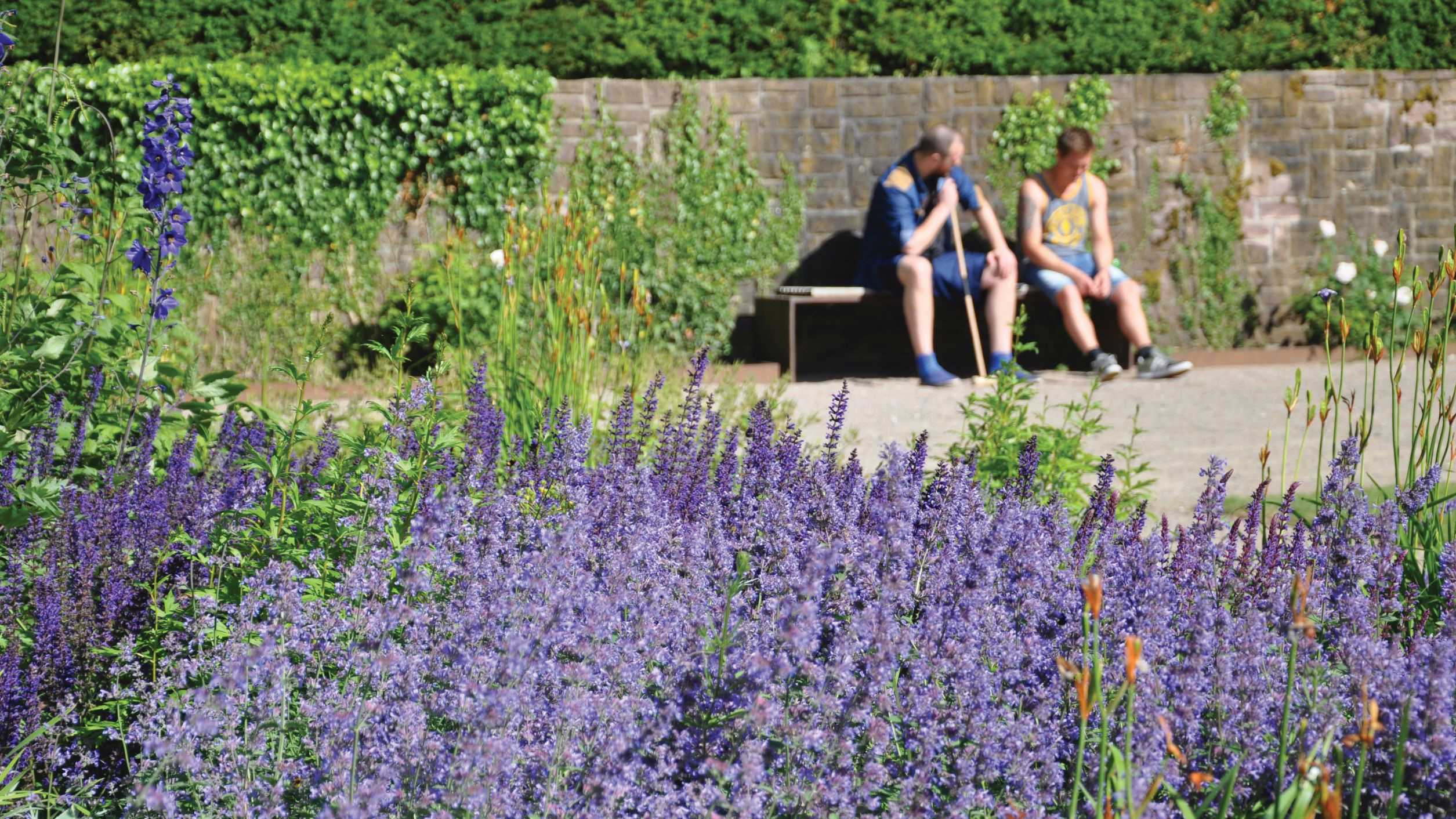 To personer sidder på en bænk i en park