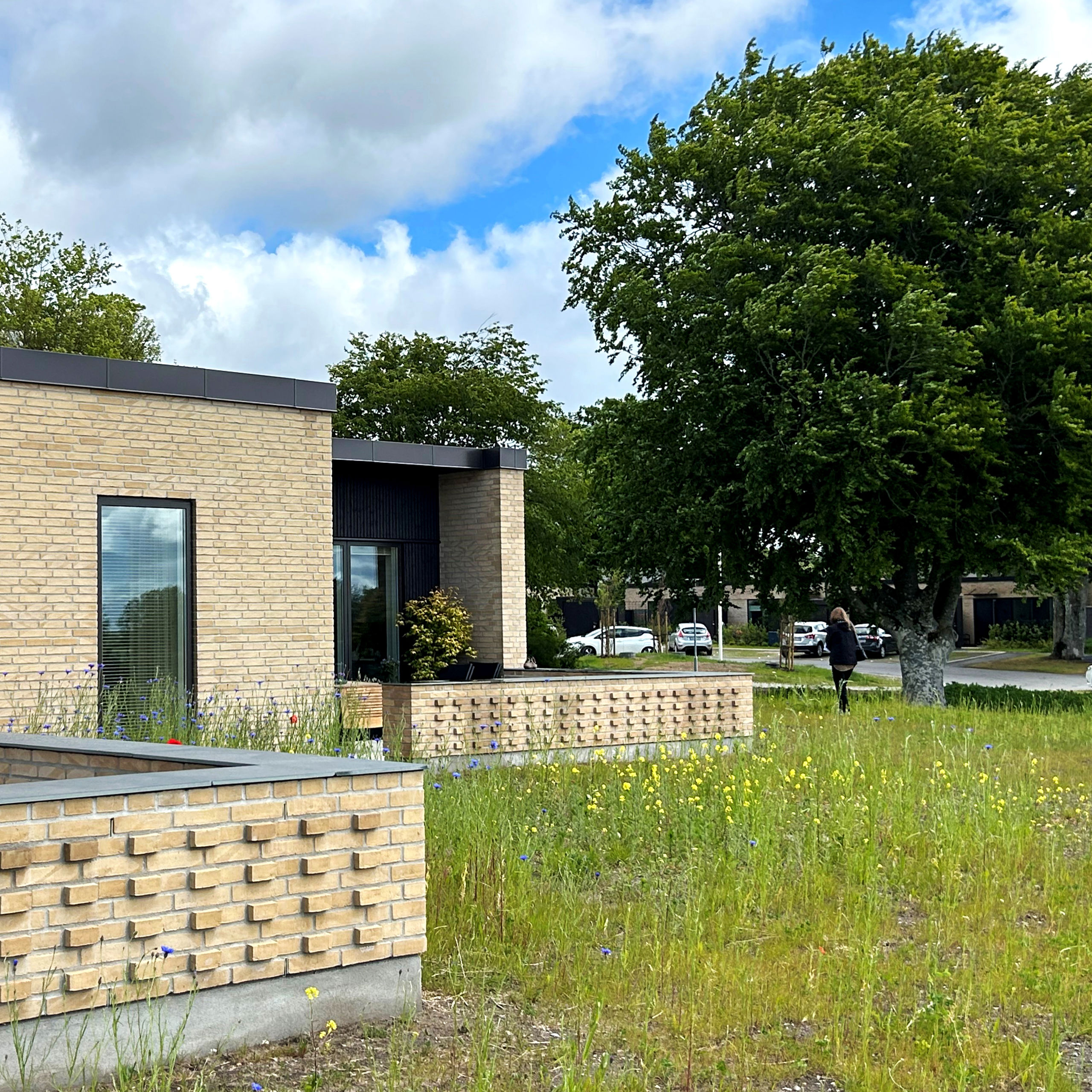 Egeskrænten, tæt-lav boligbebyggelse