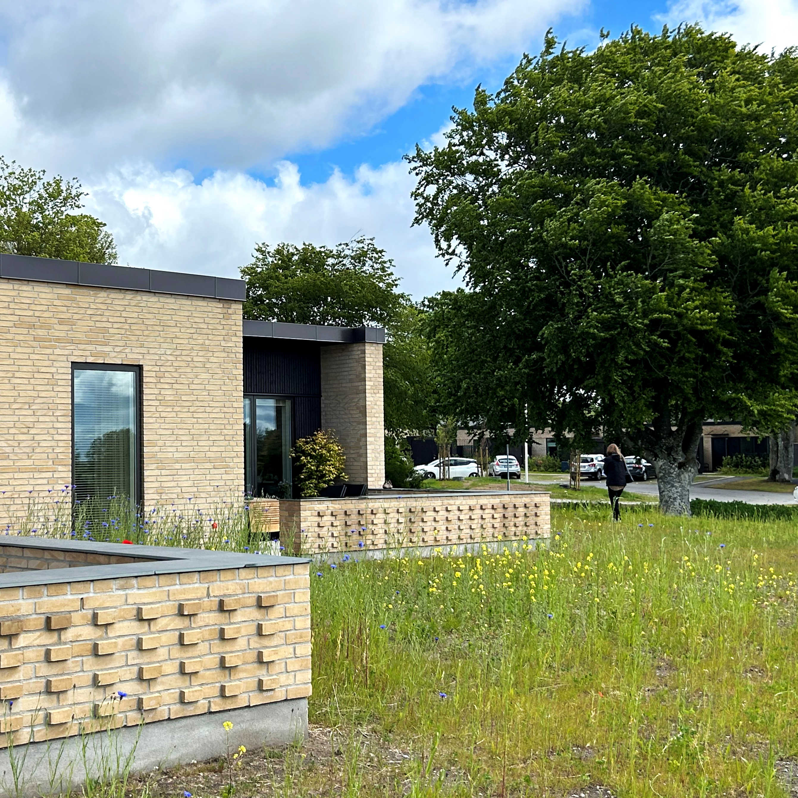 Egeskrænten, tæt-lav boligbebyggelse