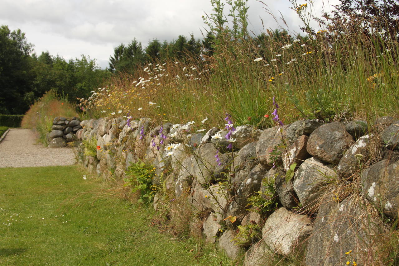 Stendige med blomster og højt græs