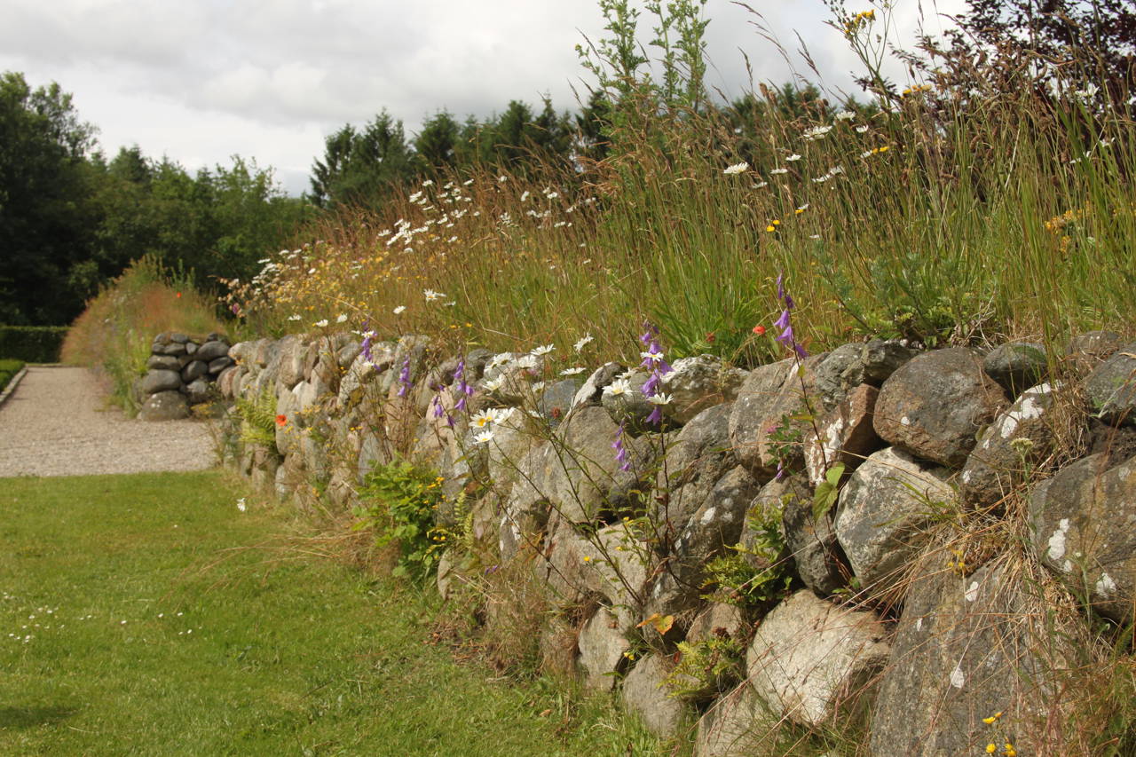 Stendige med blomster og højt græs
