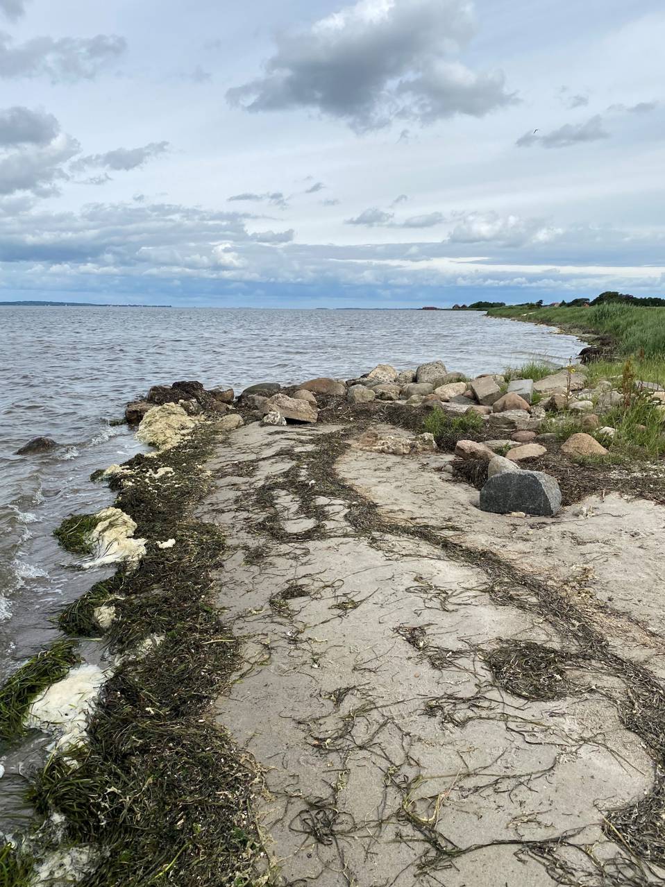 Badestrand ved Nibe Camping