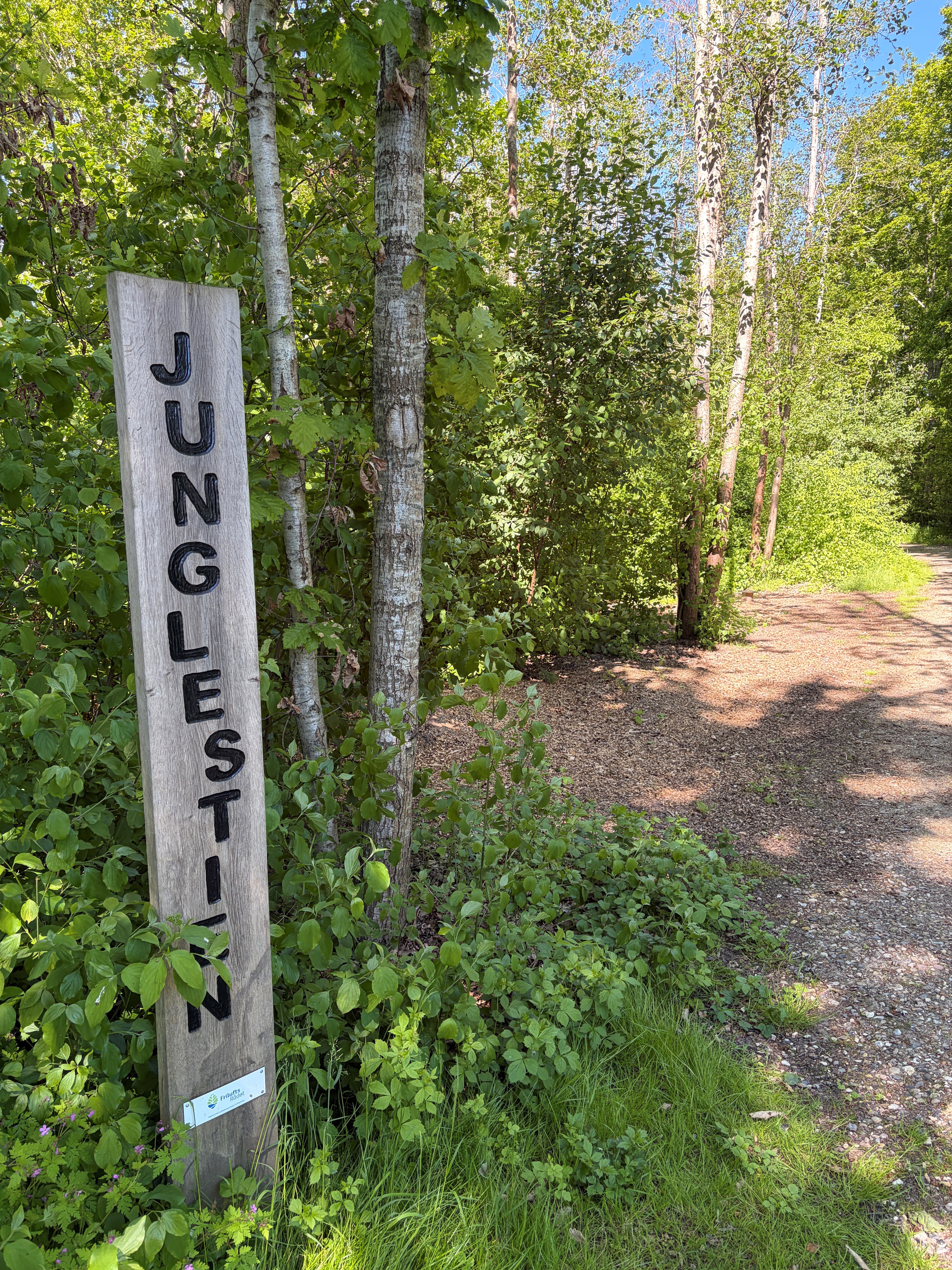 Junglestien i Vestbjerg Natur- og Klimapark