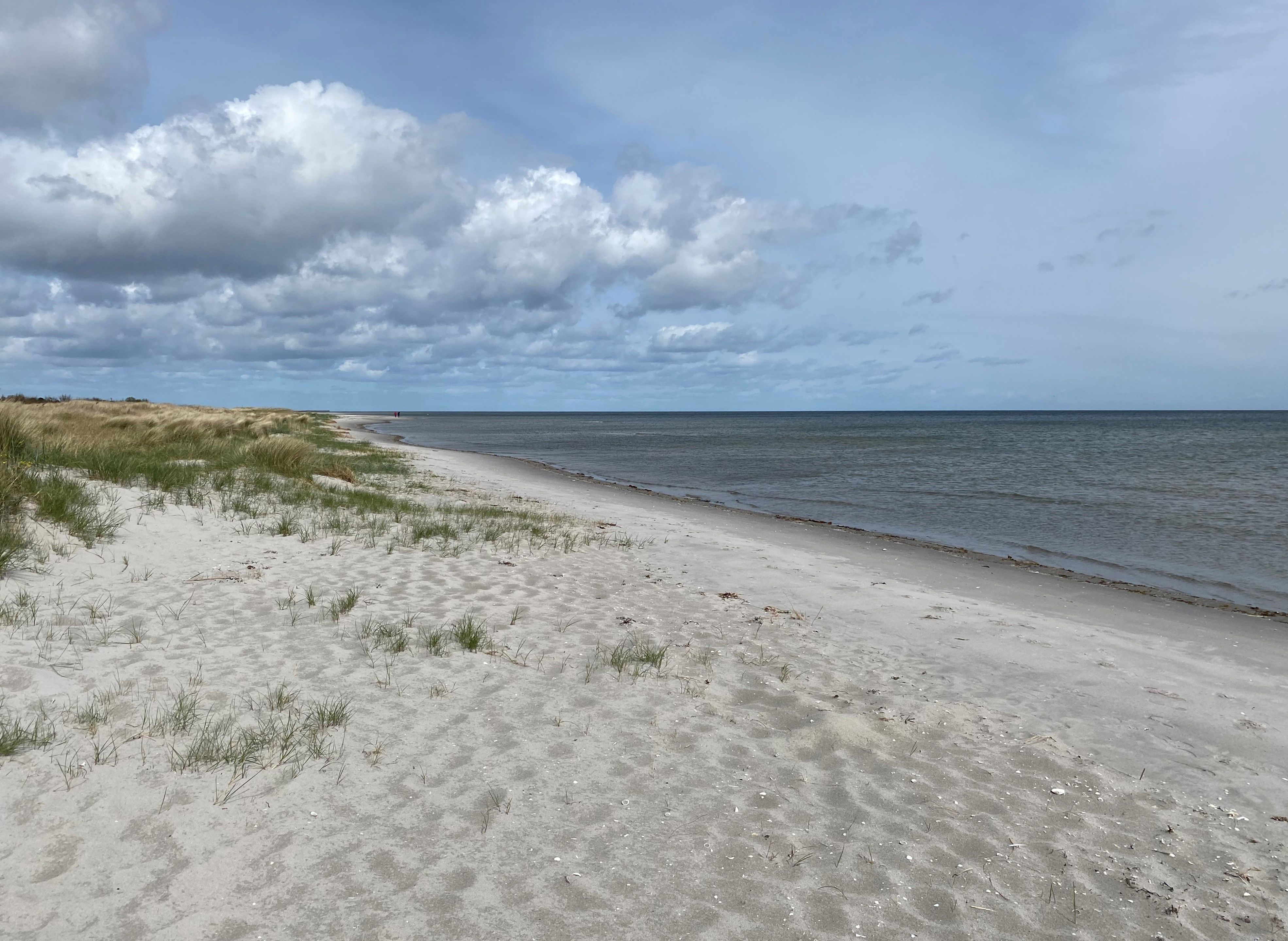Møllestenen Torderup Strand