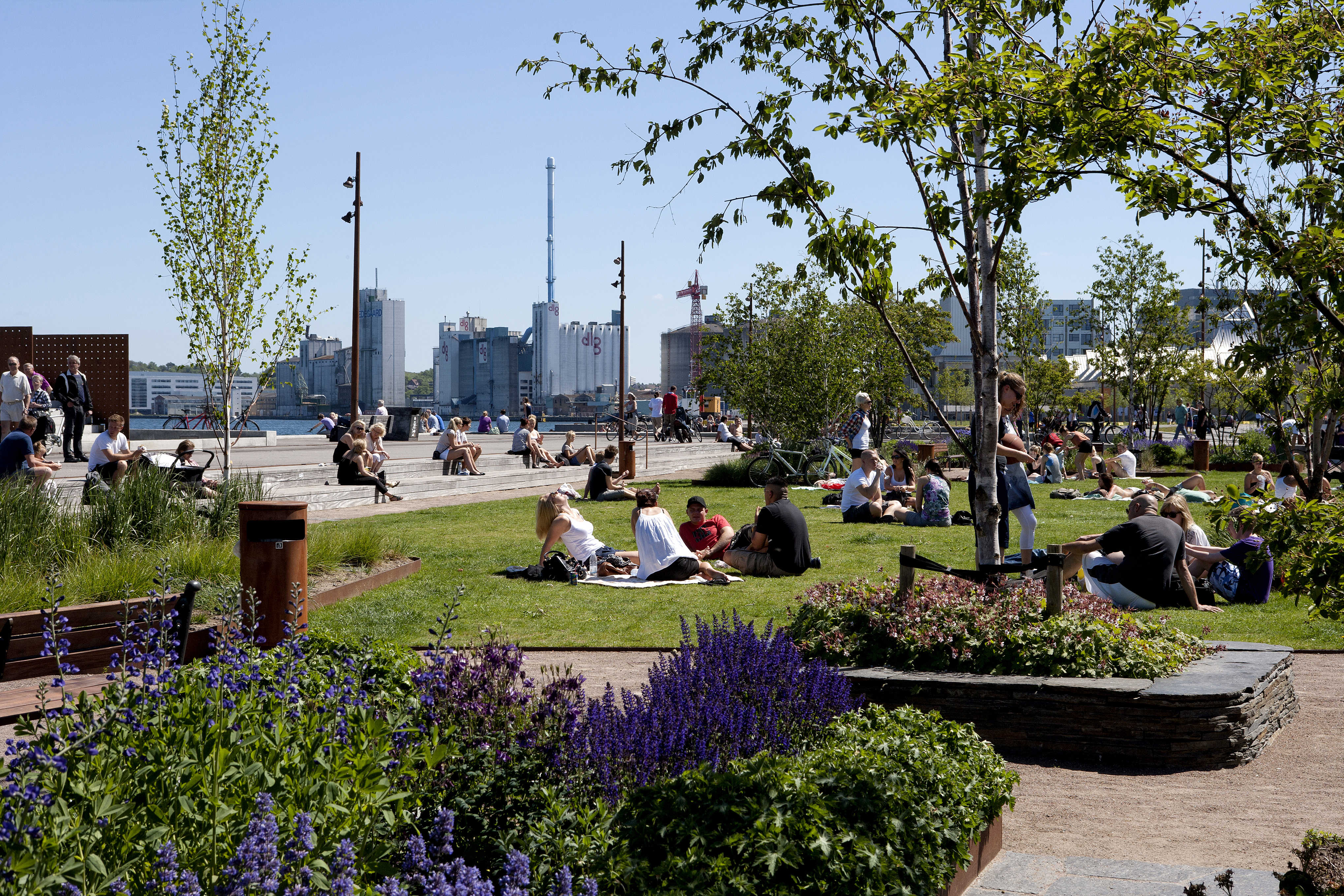 Jomfru Ane Parken i solskin