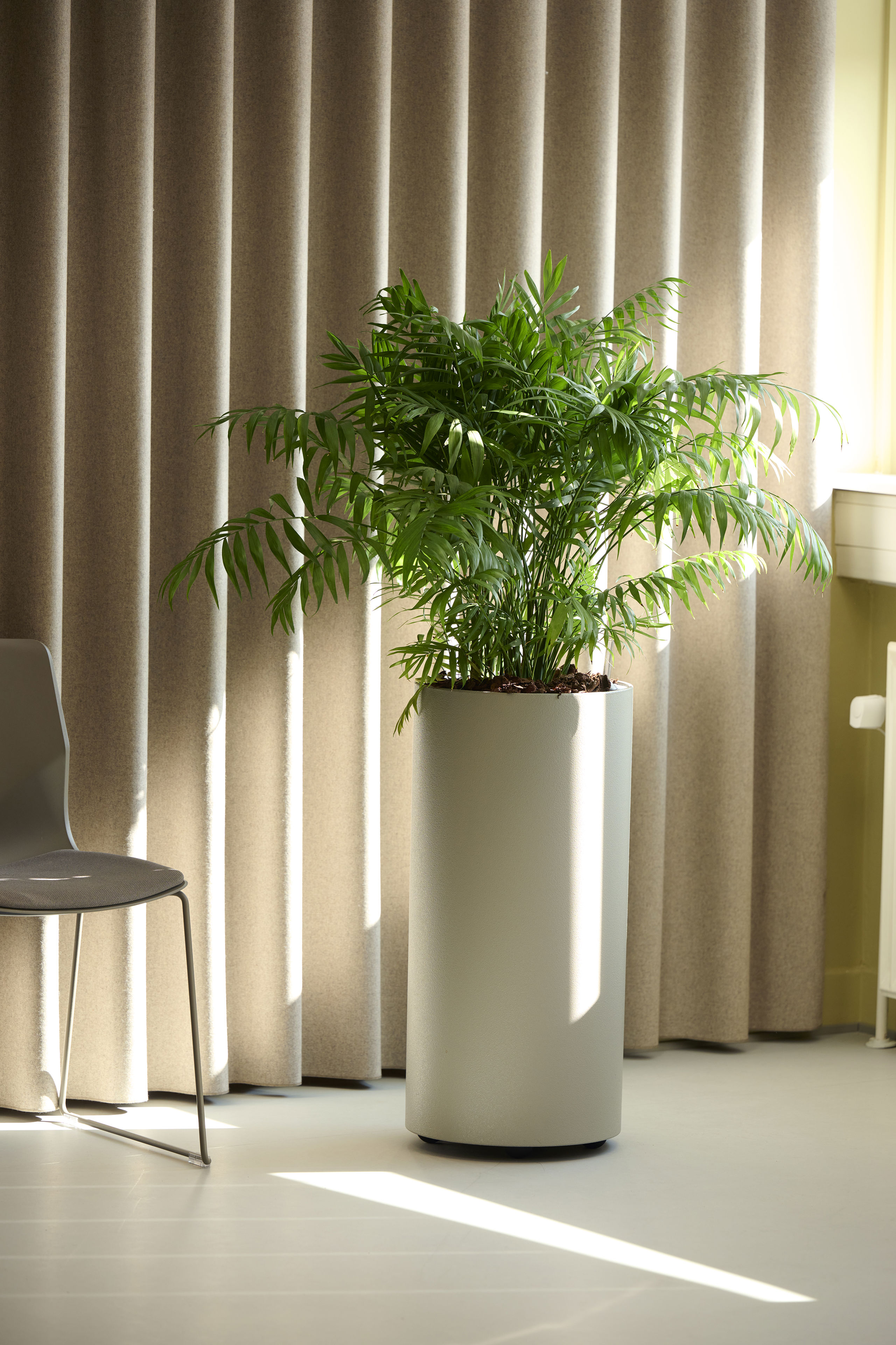 Stor Plante