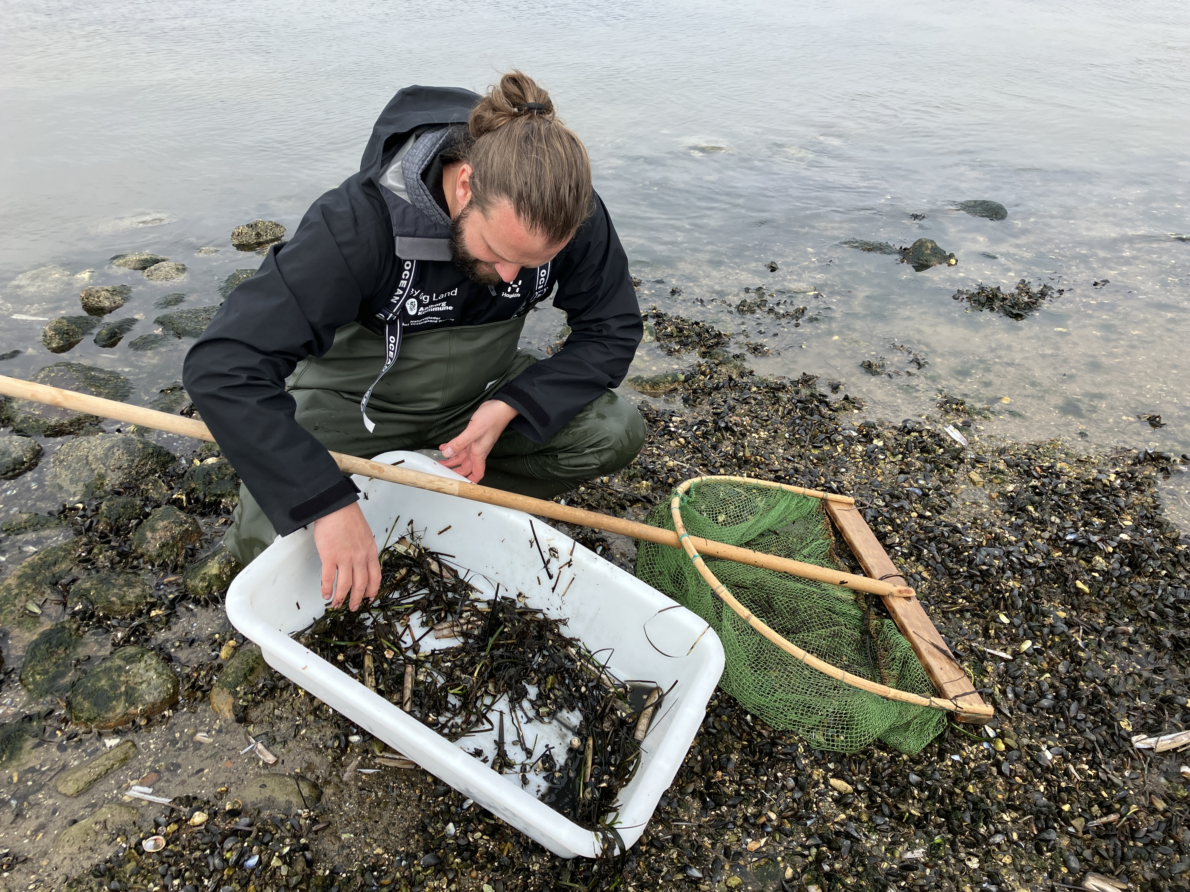 Naturvejleder ved Limfjorden