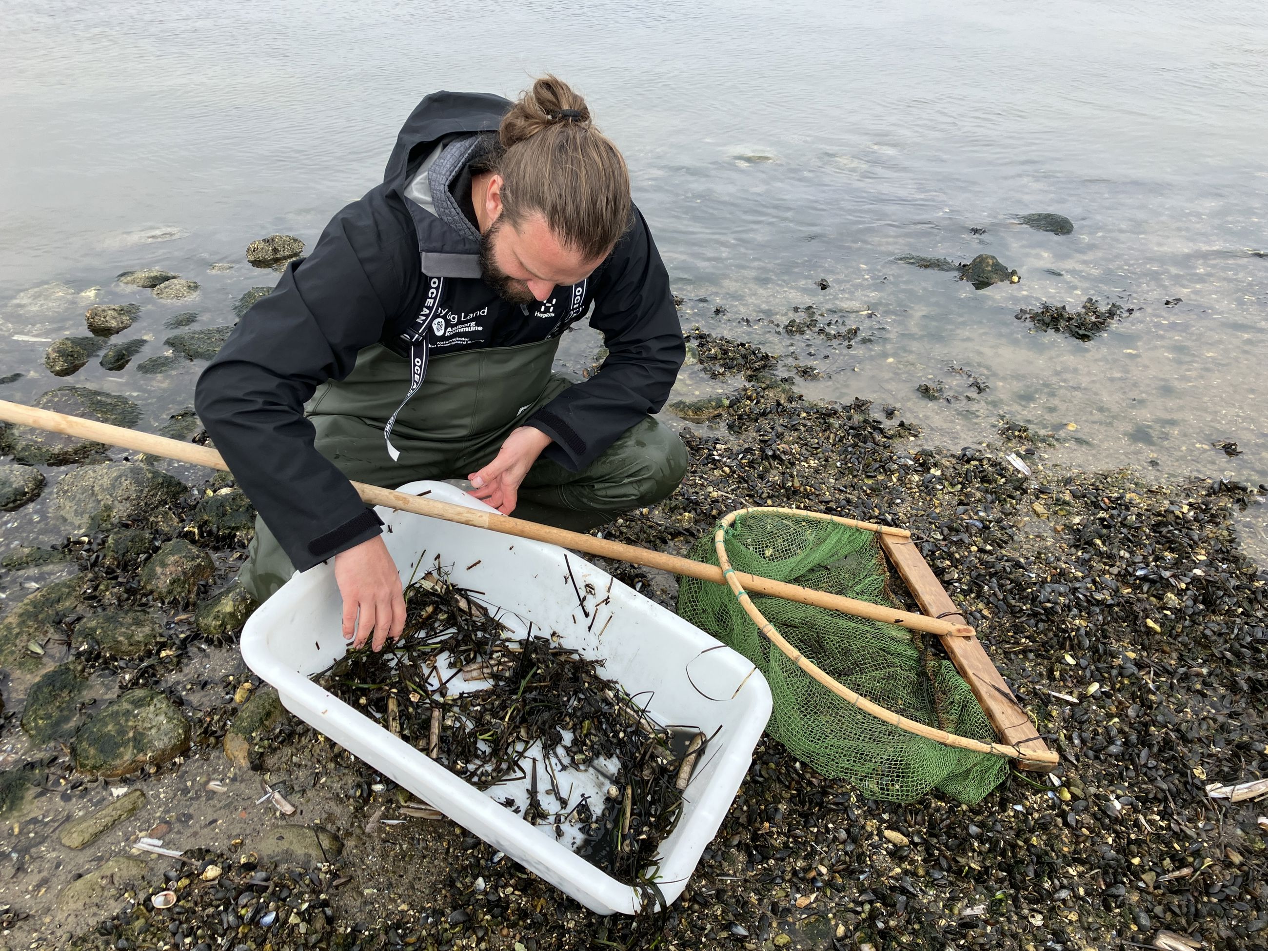 Naturvejleder ved Limfjorden