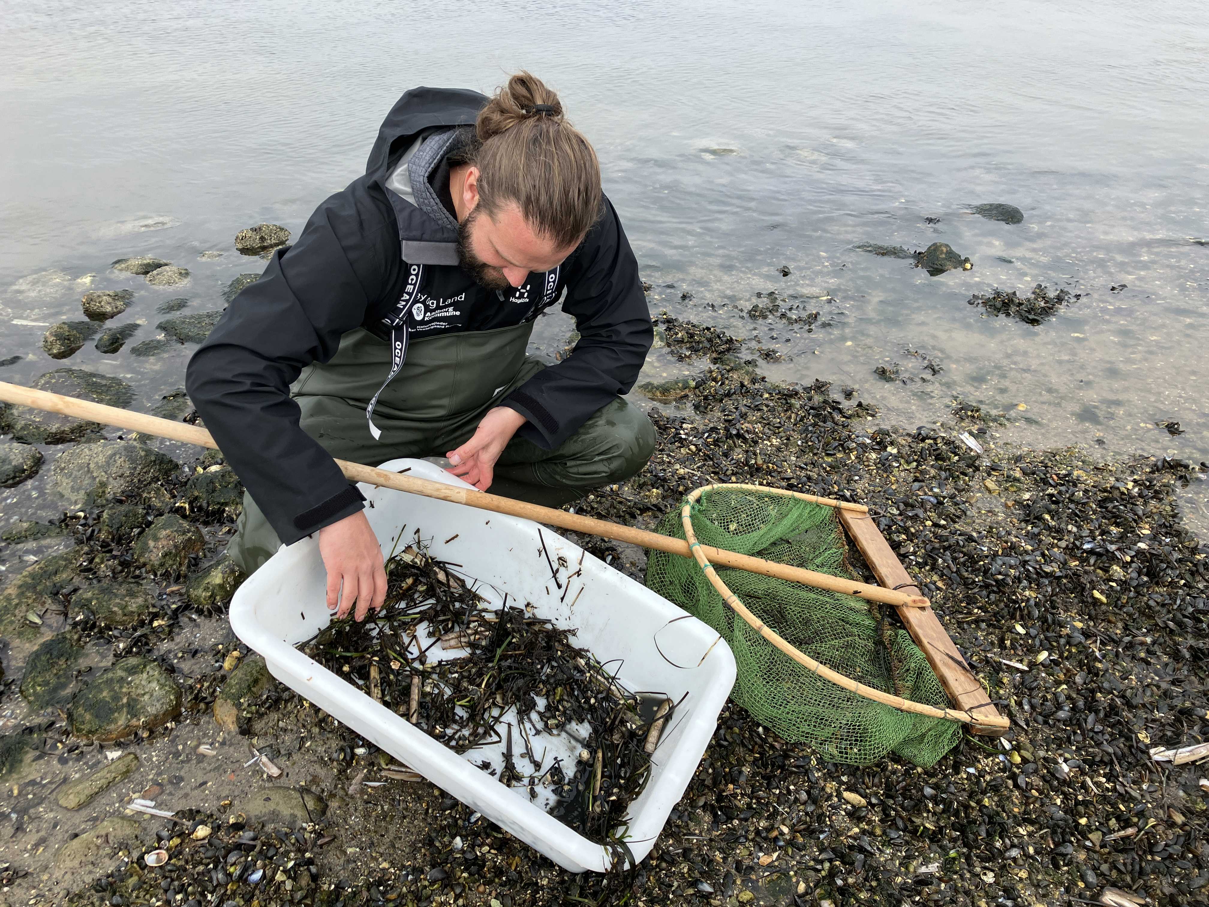 Naturvejleder ved Limfjorden