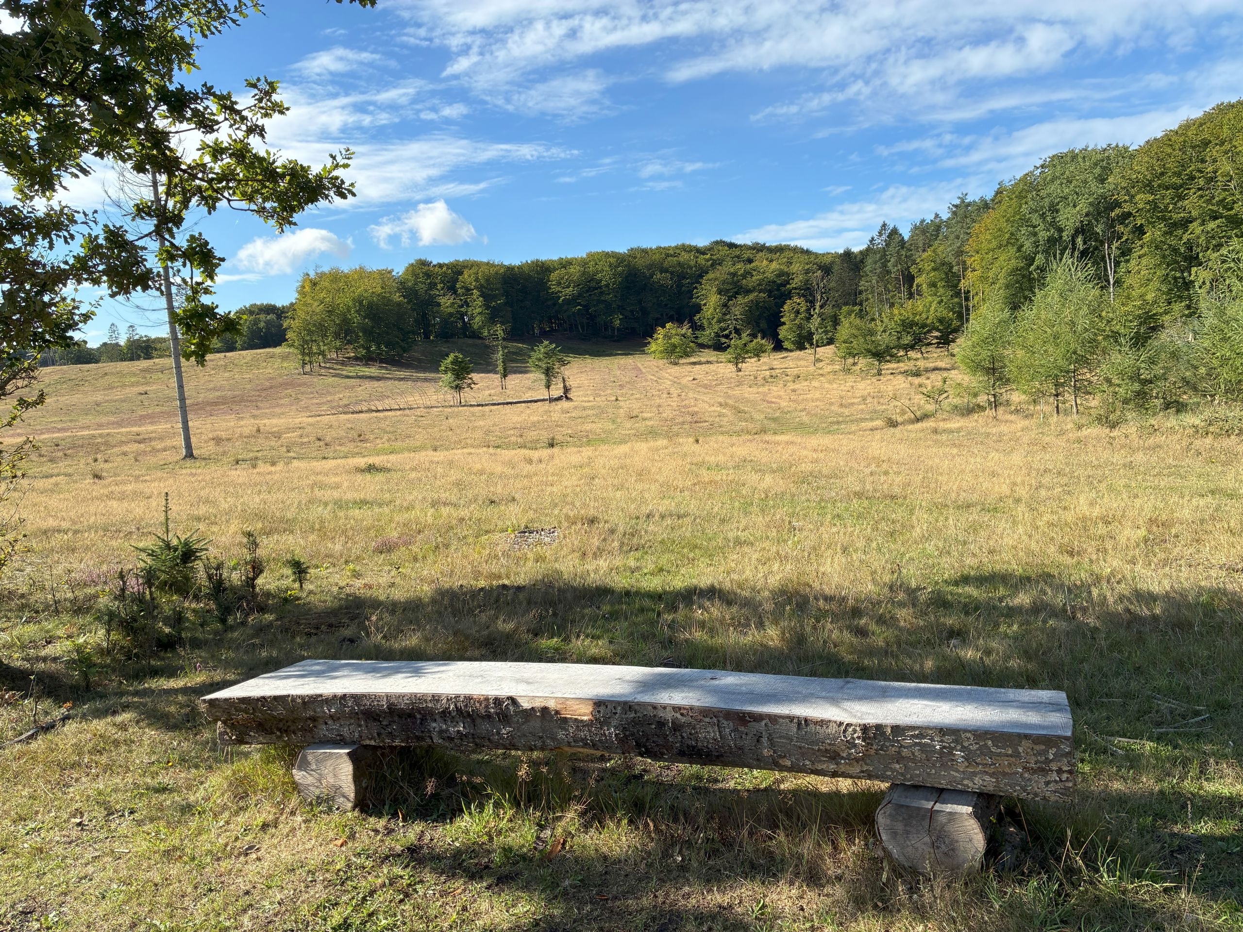 Udsigt over naturgenoprettet landskab langs vandreruten