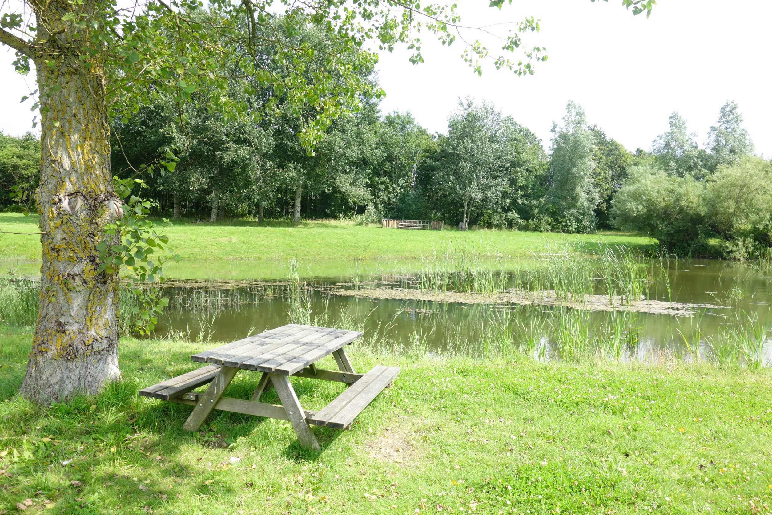 Sø og bænk i Bundgårdsparken