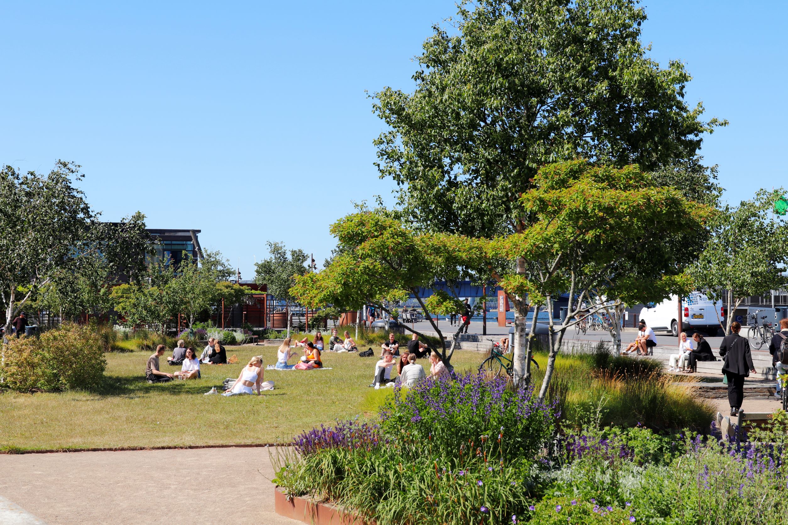 Mennesker på græsplænen i Jomfru Ane Parken