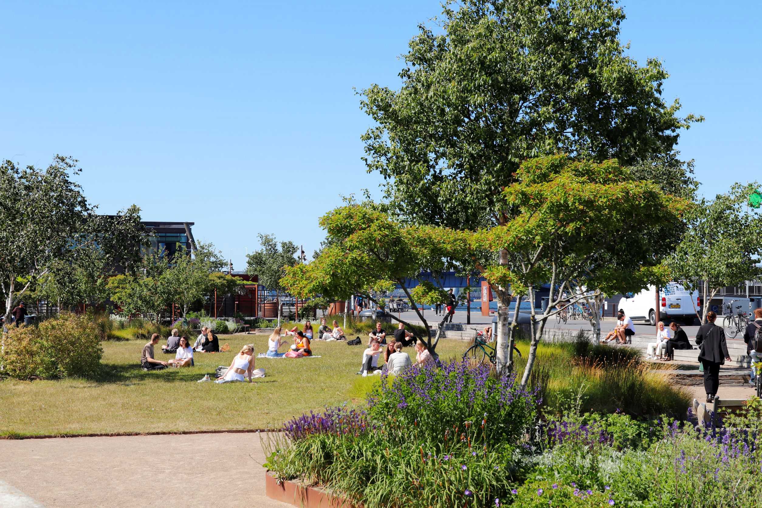 Mennesker på græsplænen i Jomfru Ane Parken