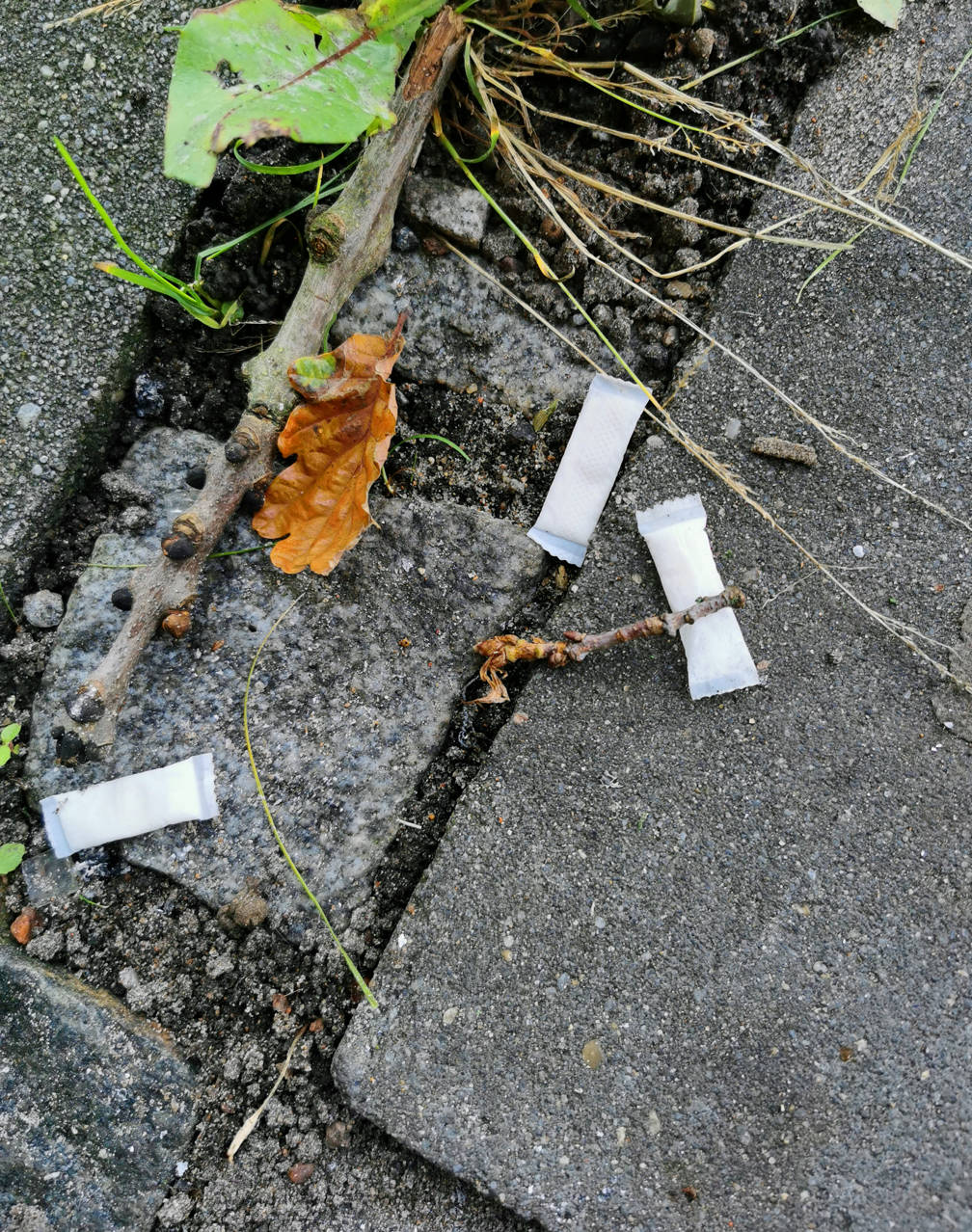 Fortov med nikotinposer