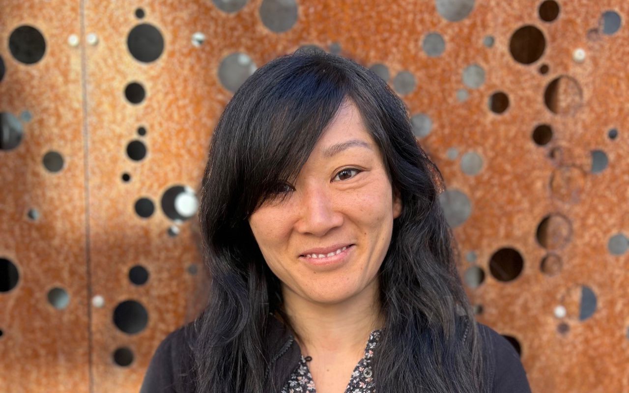 Helle Hougård, Sundhedsplejen