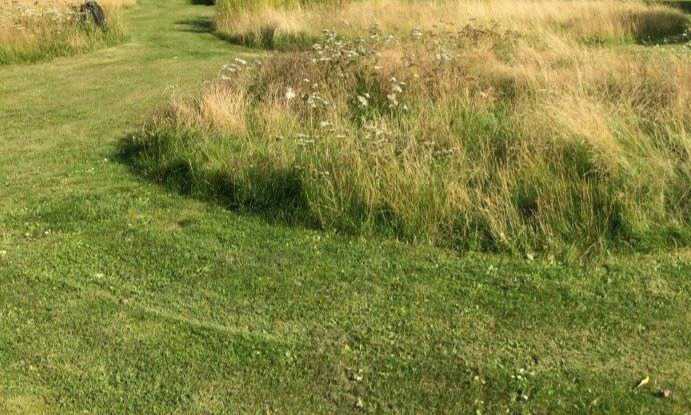 Græsplæne med klippede stier