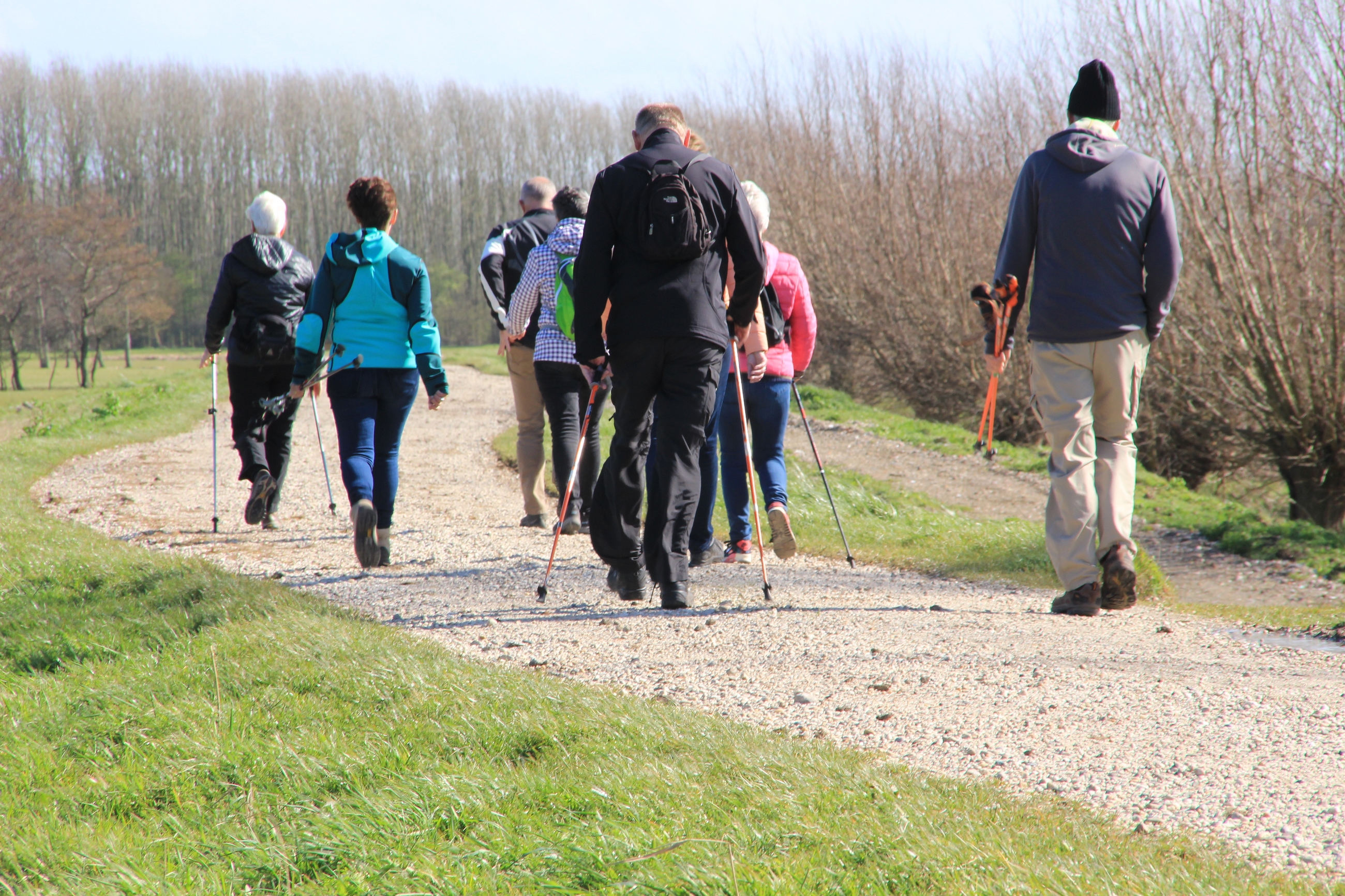 Ældre går stavgang