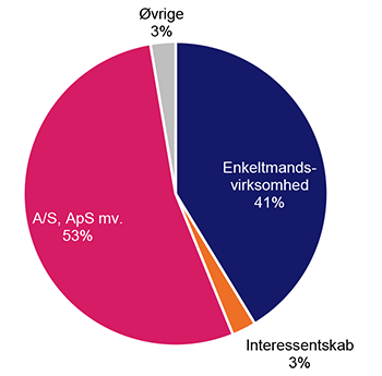 Reelt nye virksomheder efter selskabsform 2022