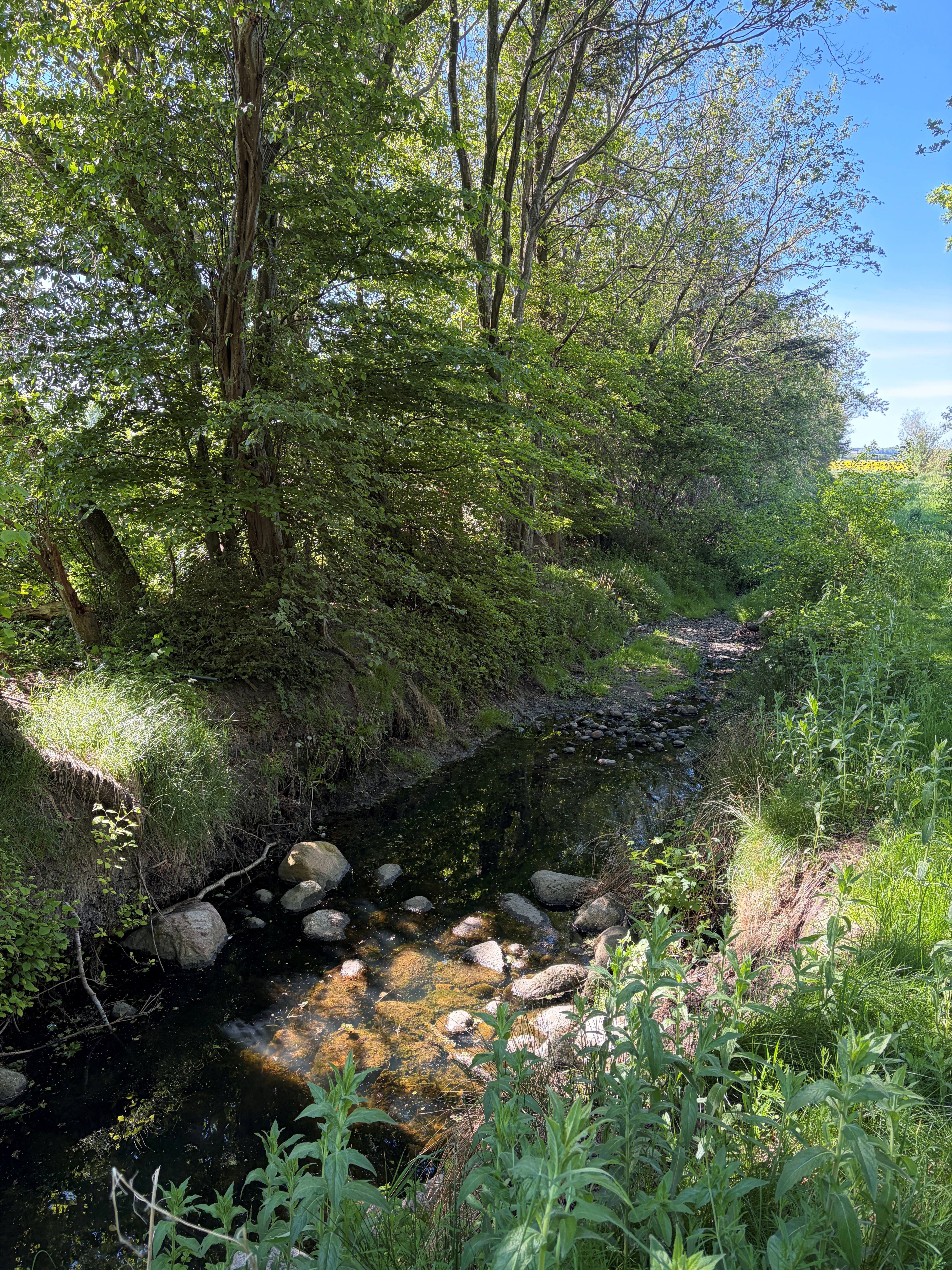 Vestbjerg Natur- og Klimapark